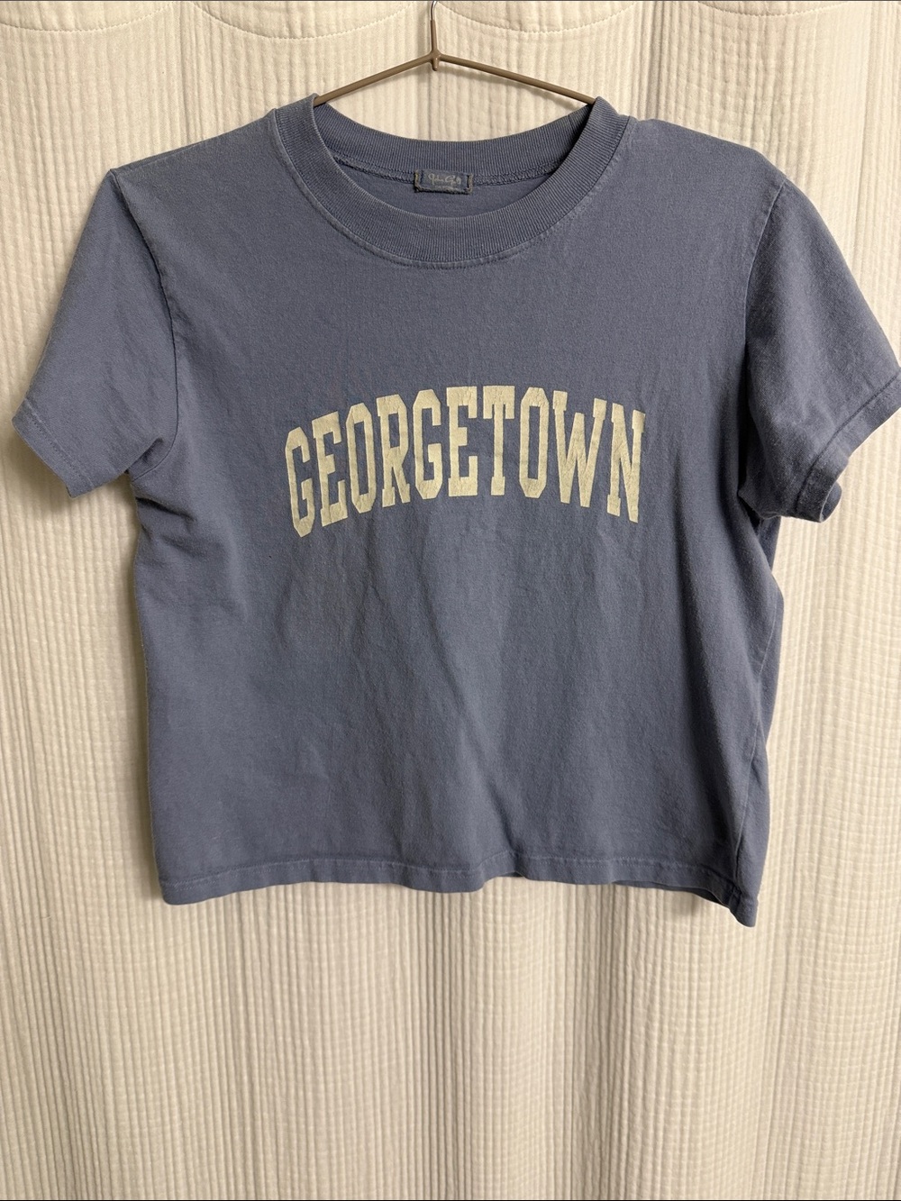 Brandy Melville Georgetown Cropped Tee - Dusty Blue with Cream Print